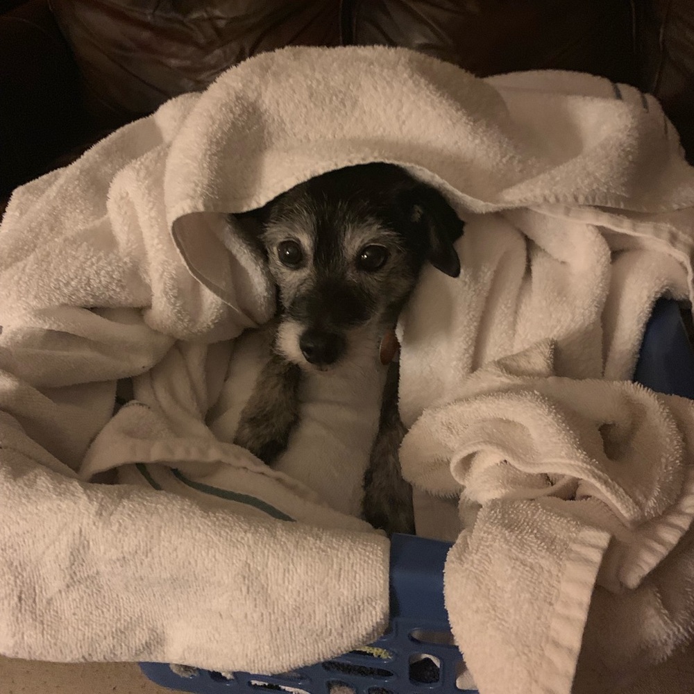 Welcome - PLEASE READ!